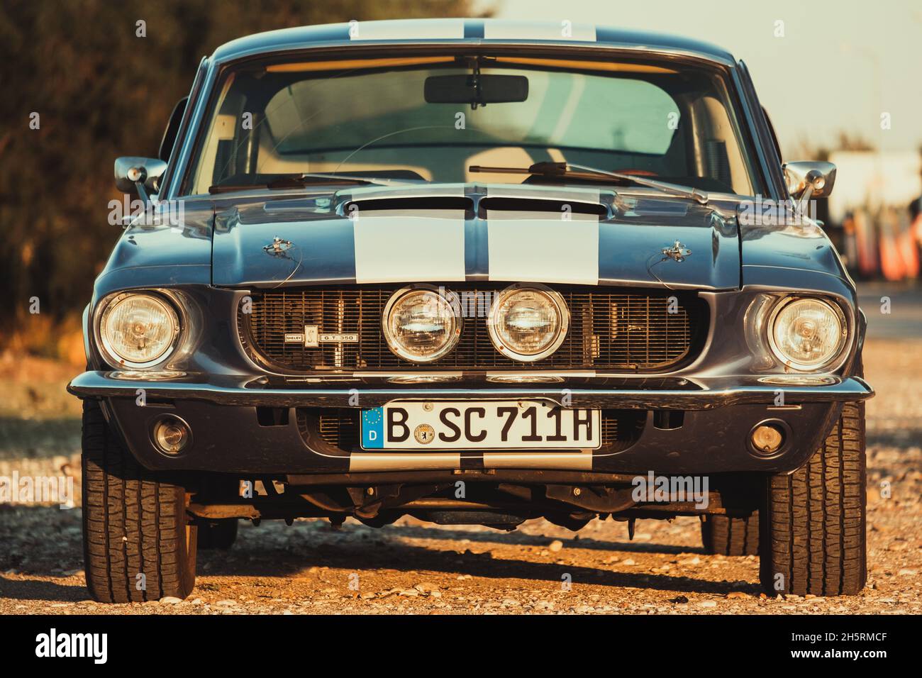 1967 Ford Shelby Mustang GT 350 Stockfotografie - Alamy