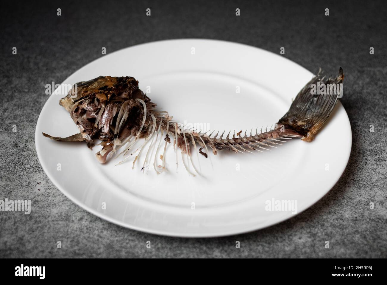 Gebratenes Fischskelett, Wirbelsäule und Knochen auf einem weißen Teller. Stockfoto