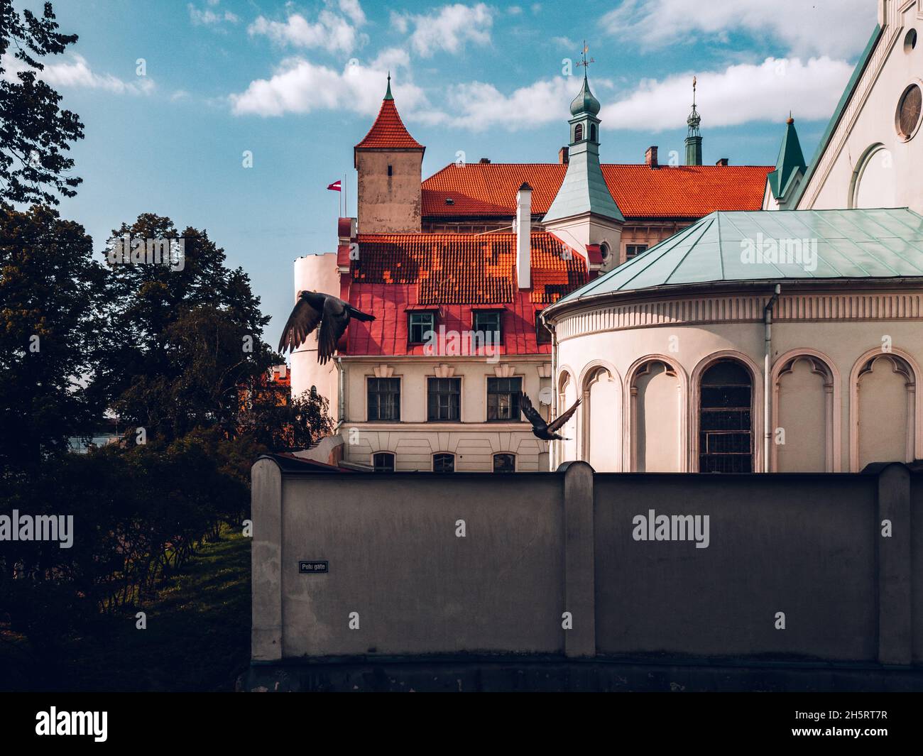 Tauben fliegen mit schönen Gebäuden im Hintergrund Stockfoto