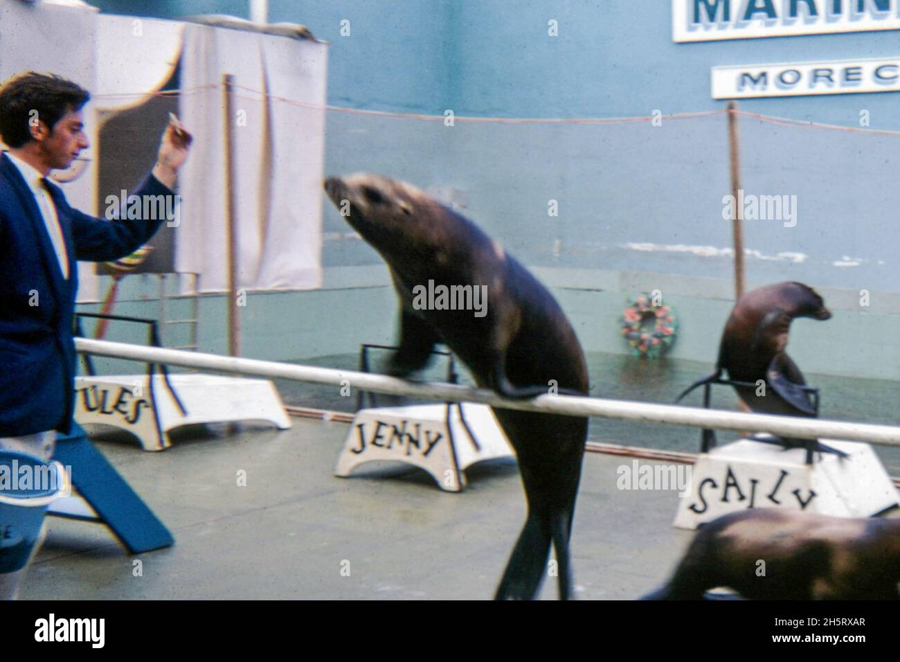 Marineland in Morecambe, 1968 Stockfoto