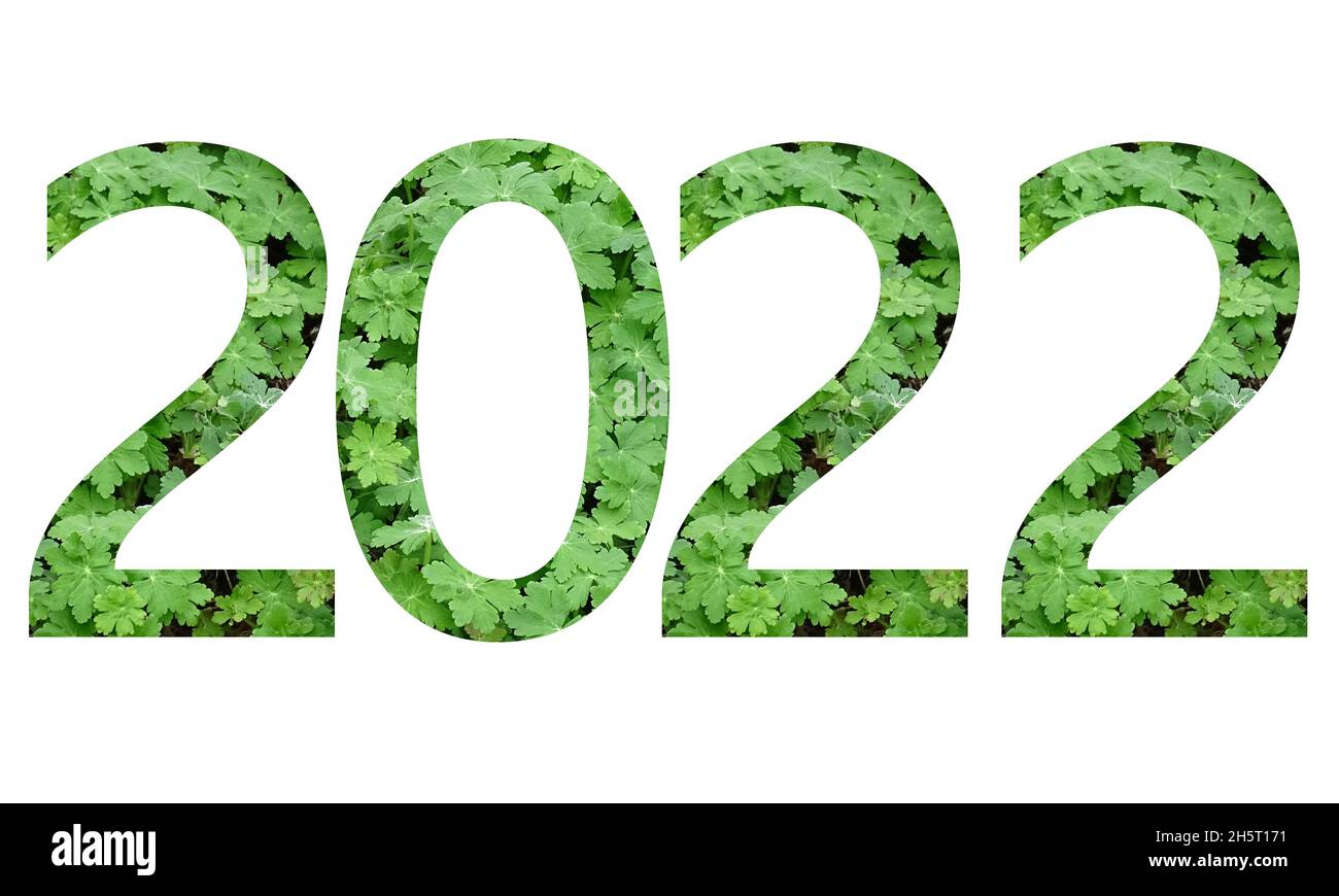 2022 Text für das neue Jahr, Text mit Zahlen aus grünen Geranienblättern, isoliert auf weißem Hintergrund Stockfoto