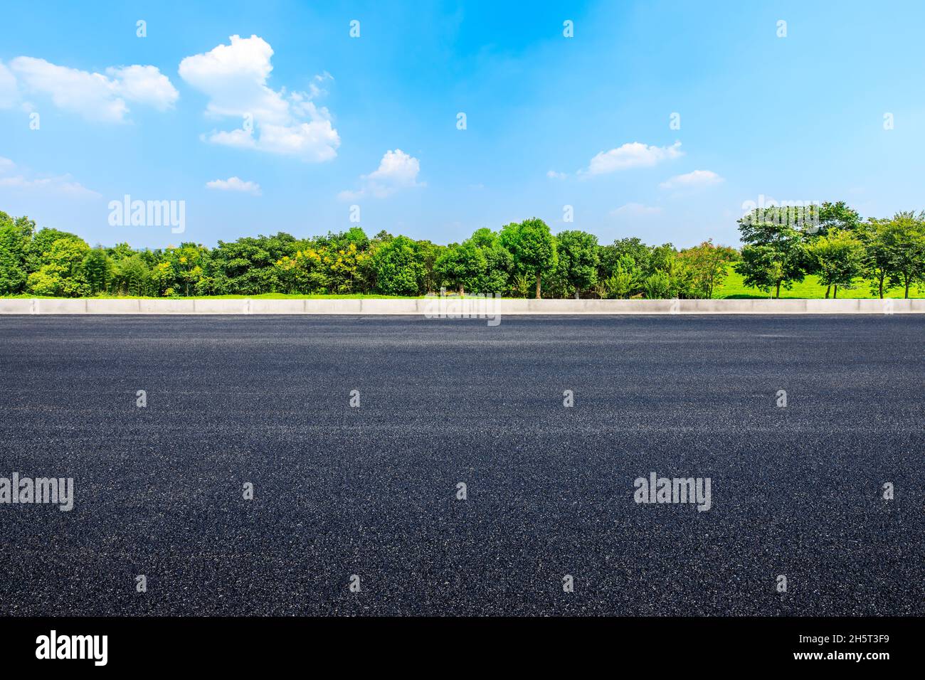 Asphaltstraße und grüner Wald unter blauem Himmel. Stockfoto