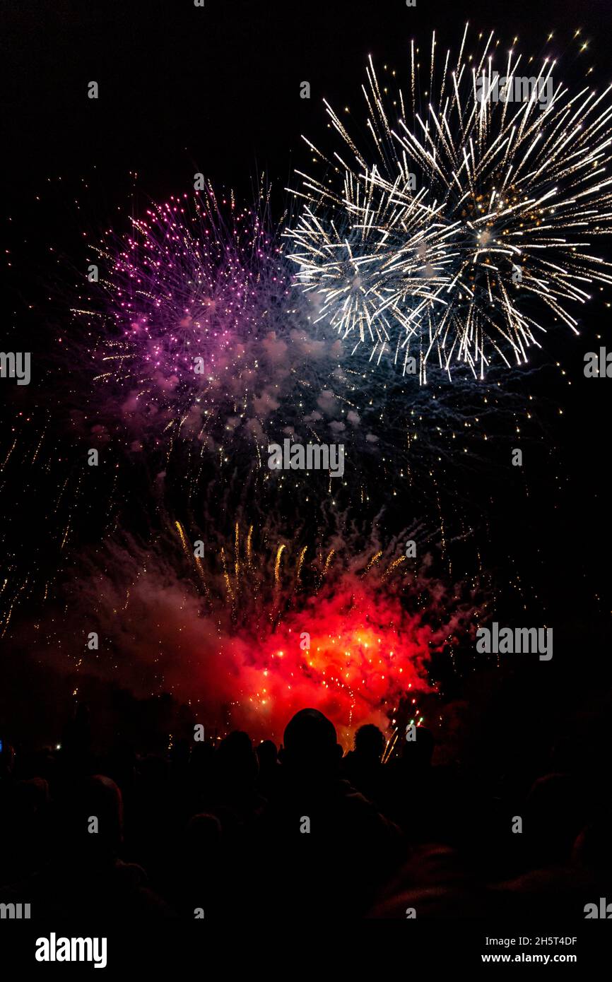 Feuerwerk explodiert gegen den Nachthimmel Stockfoto