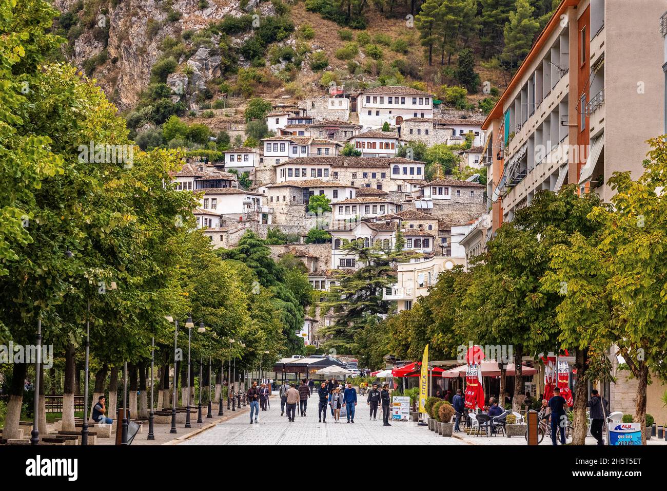 Blick auf den baumgesäumten Boulevard republika in Richtung der berühmten weißen Hocker von berat Stockfoto