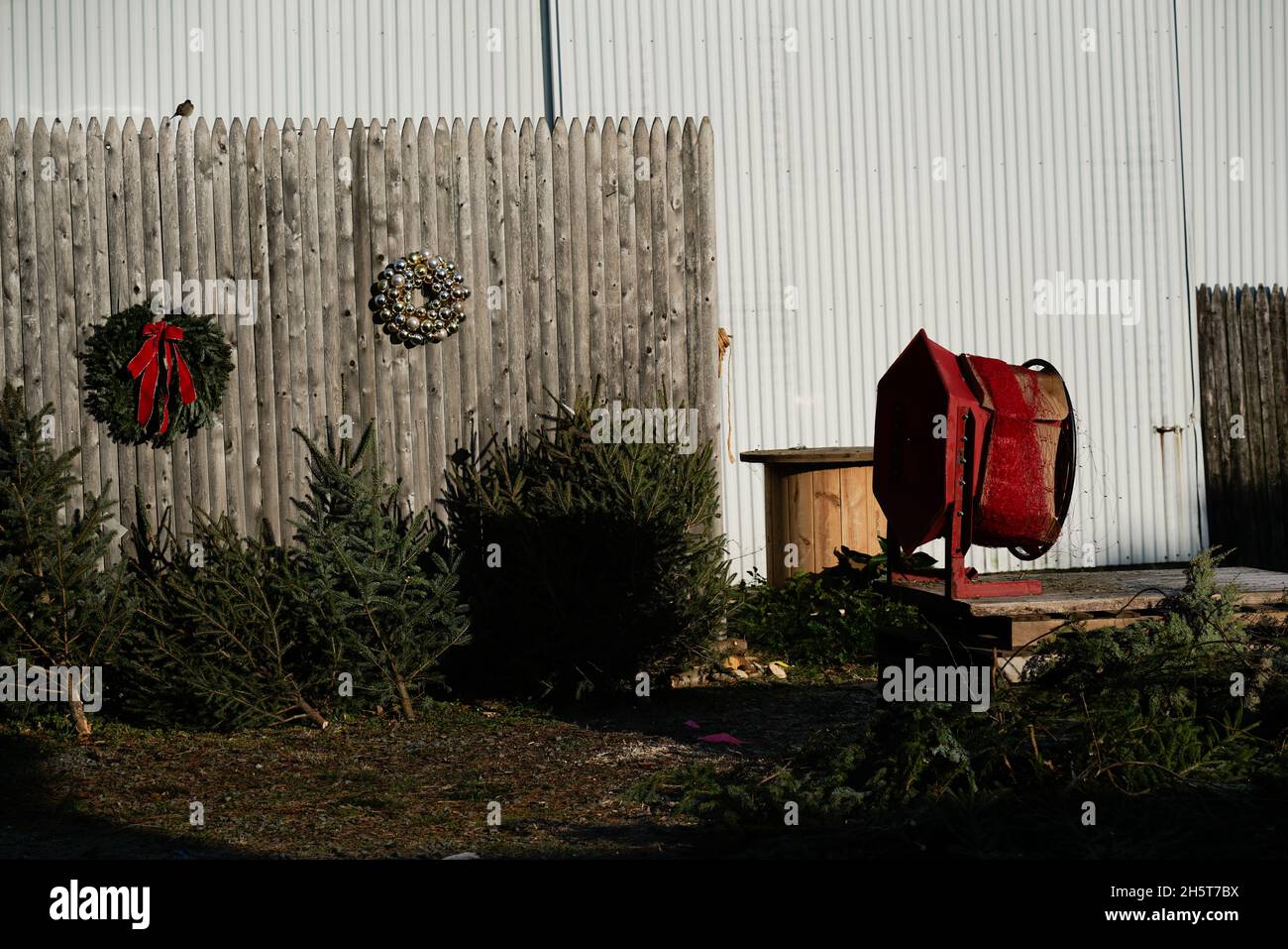 Weihnachtsbäume und Kränze werden auf einer kleinen, familiengeführten Farm in New Jersey angebaut und verkauft. Stockfoto