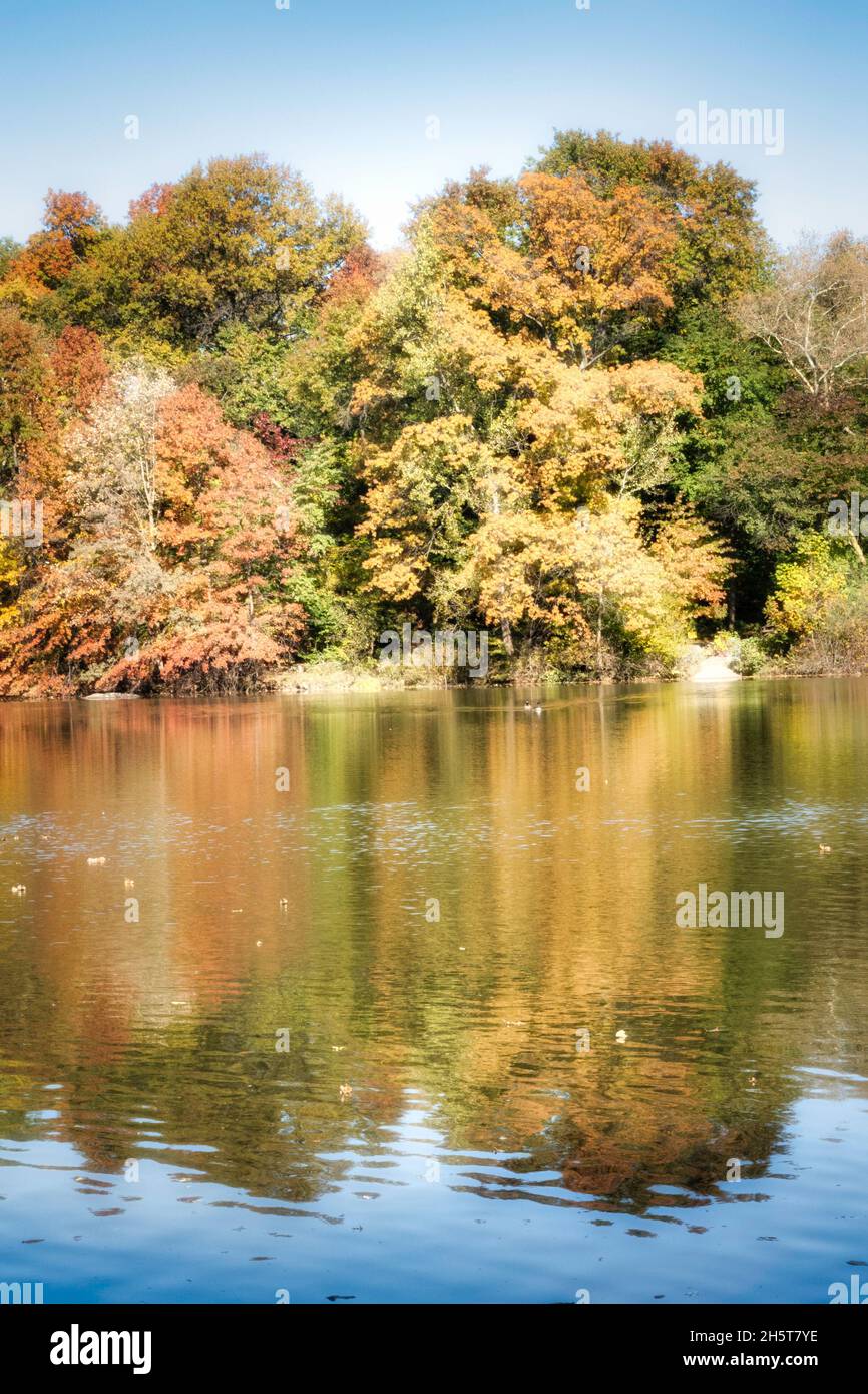 Der Central Park ist beliebt in der Herbstsaison, New York City, USA Stockfoto