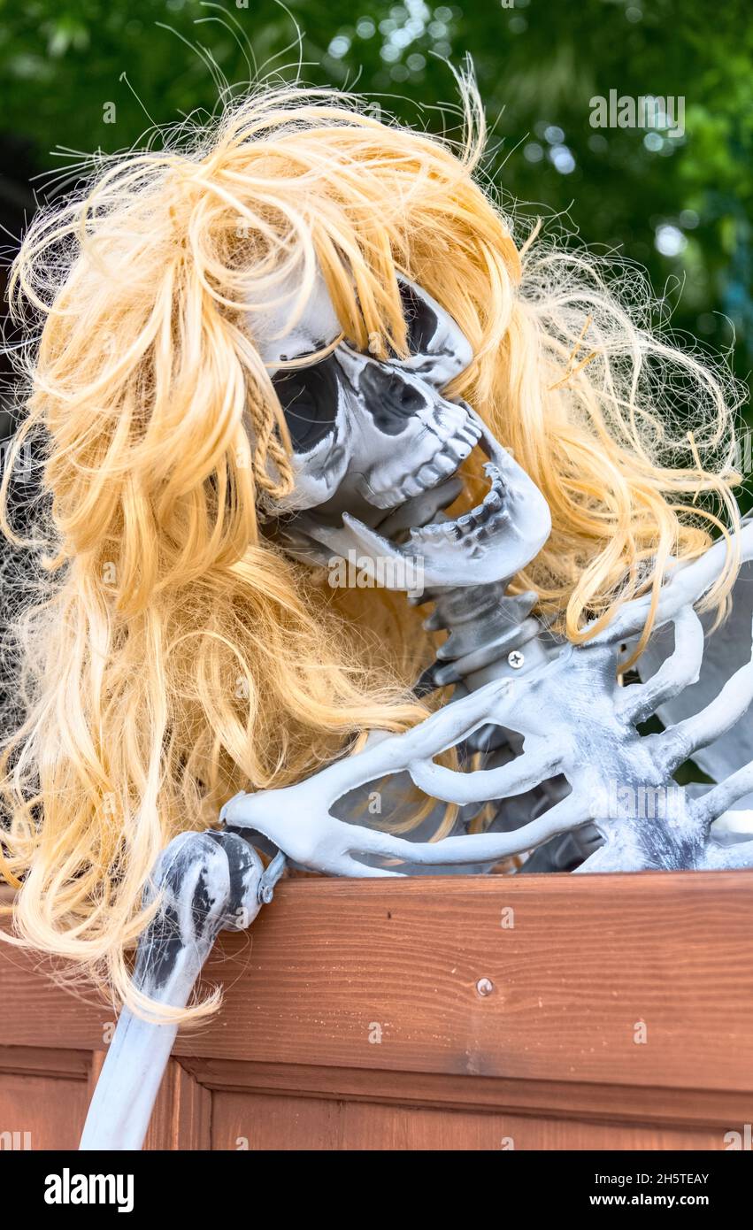 Weibliches Skelett mit blonden Perücke Halloween Dekorationen, NC Cafe,  Saintes Maries de la Mer, Camargue, Frankreich Stockfotografie - Alamy