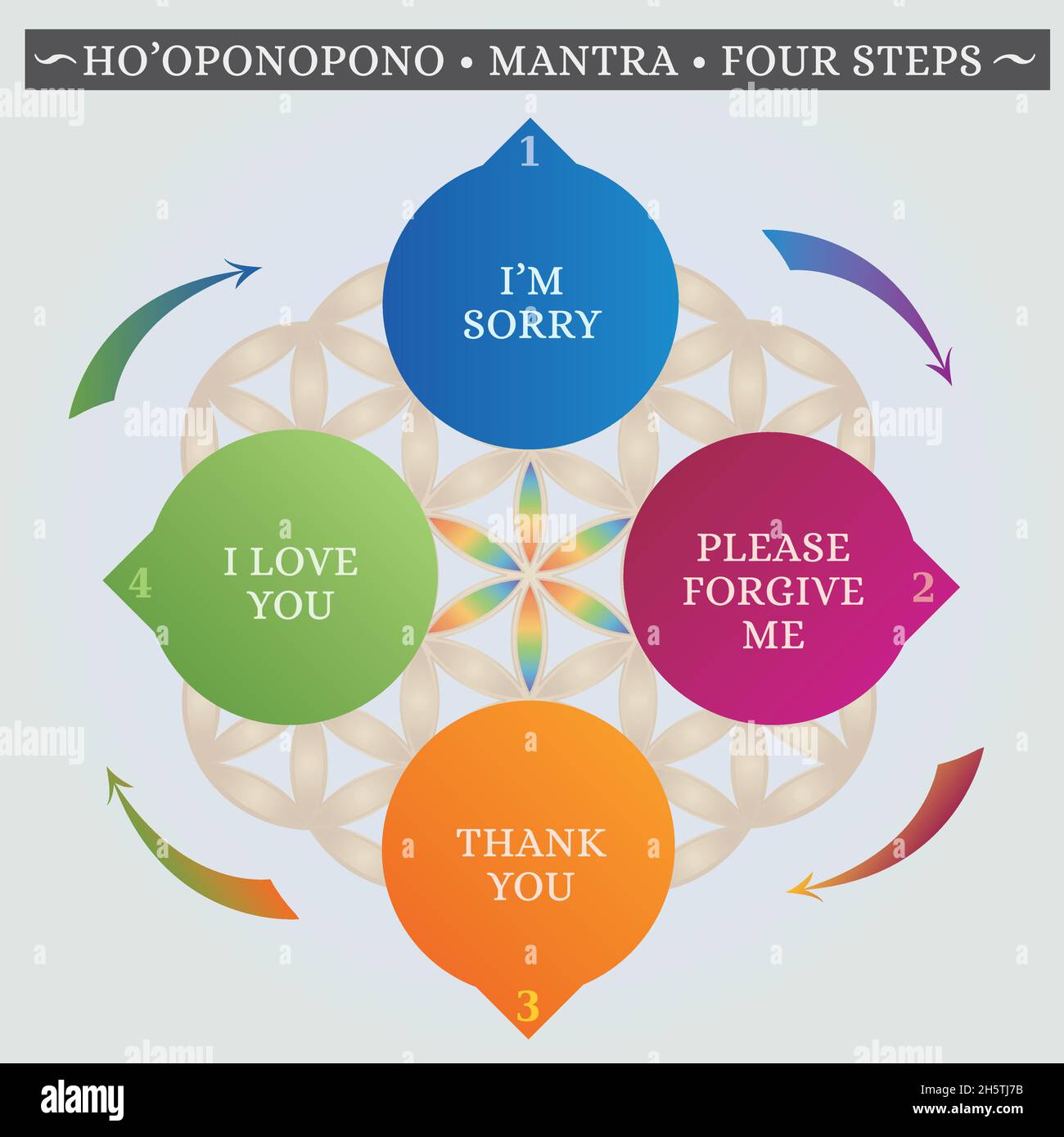 Ho'oponopono Hawaiianische Praxis, Gebet, Mantra, Illustration, Worte in 4 Schritten, Grundfarben auf dem Hintergrund der Blume des Lebens Stock Vektor