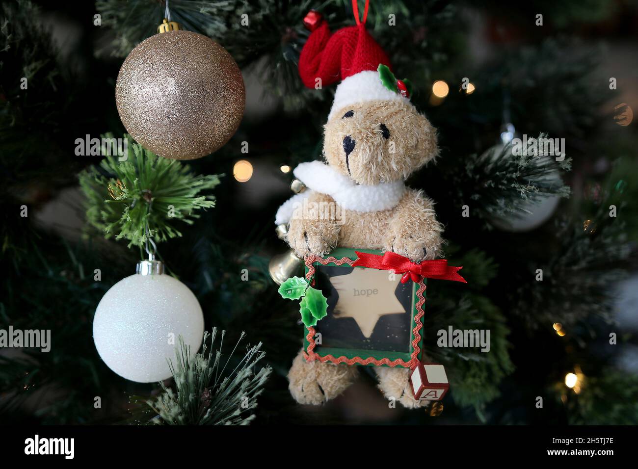 Teddybär hält an der Hoffnung fest, mit Glitzerkugeln, die am Weihnachtsbaum hängen Stockfoto
