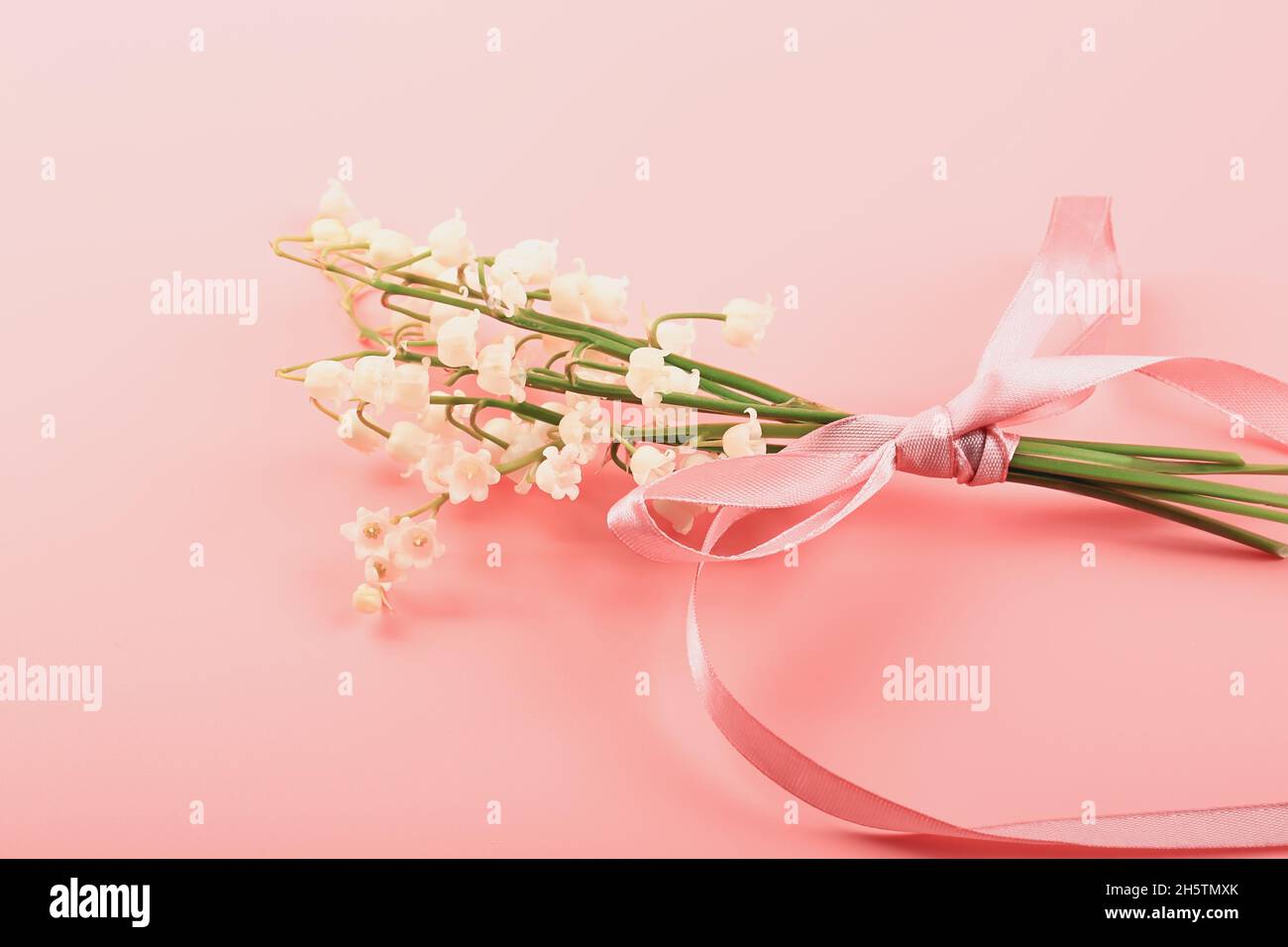 Maiglöckchen, gebunden mit einem rosa Band auf einem rosa Hintergrund. Zartes Federkonzept Stockfoto