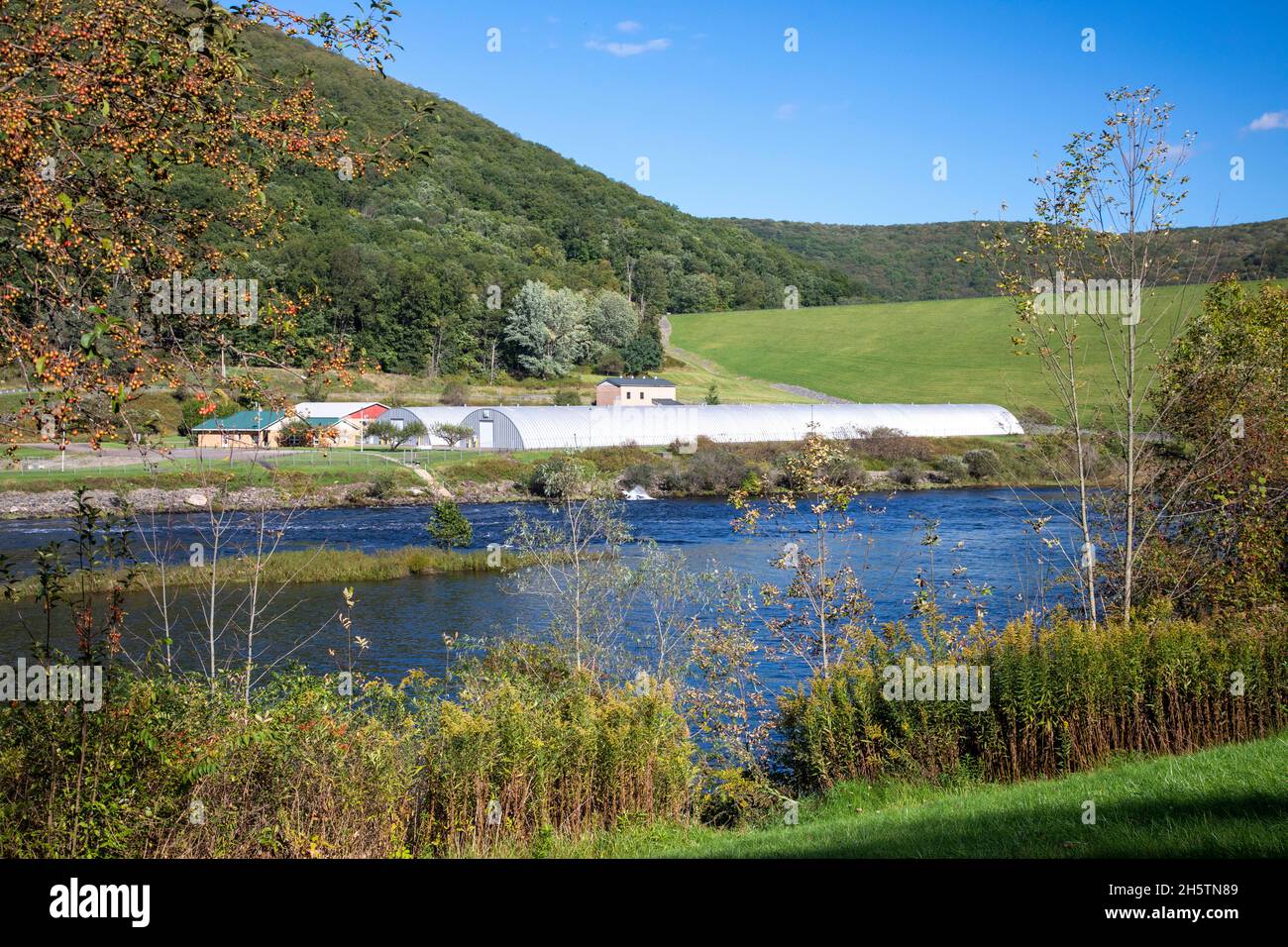 Warren, Pennsylvania - die Allegheny National Fish Hatchery am Allegheny River, direkt unterhalb des Kinzua Dam. Betrieben von der US Fish and Wildlife Stockfoto