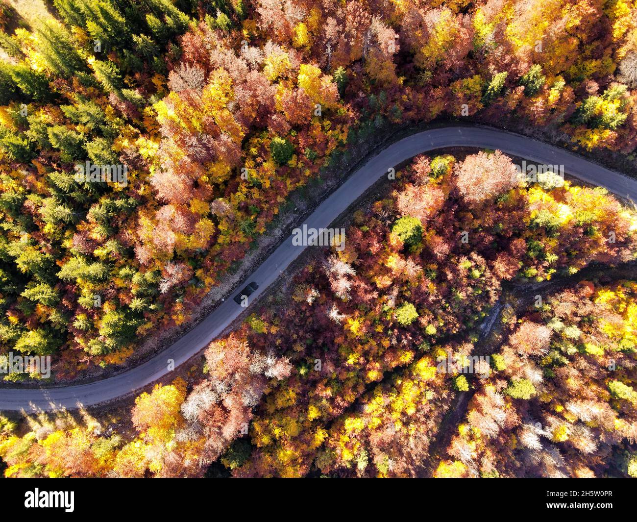 Auto fährt auf einer Bergstraße irgendwo in den französischen Alpen, umgeben von Bäumen mit bunten Herbstblättern, Blick auf die Drohne. Stockfoto
