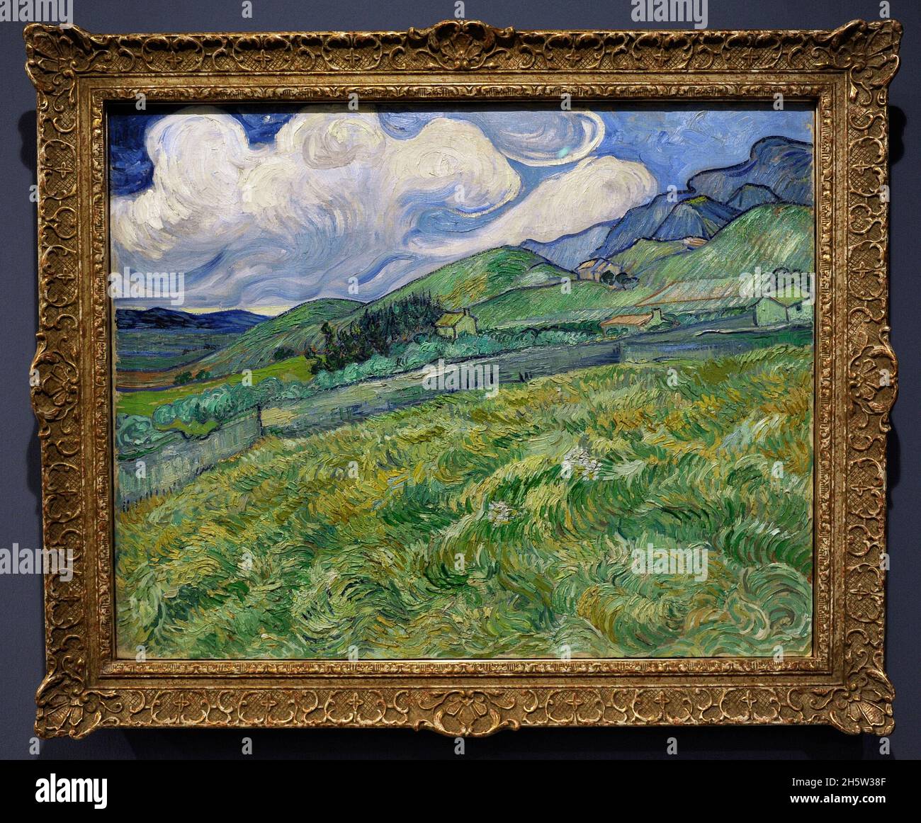 Vincent Van Gogh (1853-1890). Niederländischer Maler. Landschaft von Saint-Rémy, 1889. Ny Carlsberg Glyptotek. Kopenhagen, Dänemark. Stockfoto