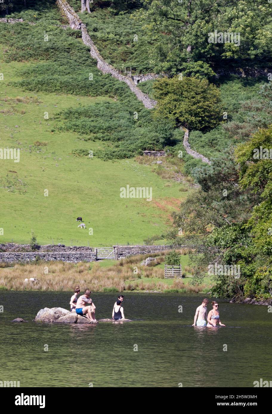 Familienurlaub Großbritannien; Menschen schwimmen in Rydal Water Lake in den Sommerferien, der Lake District Cumbria England Großbritannien Stockfoto