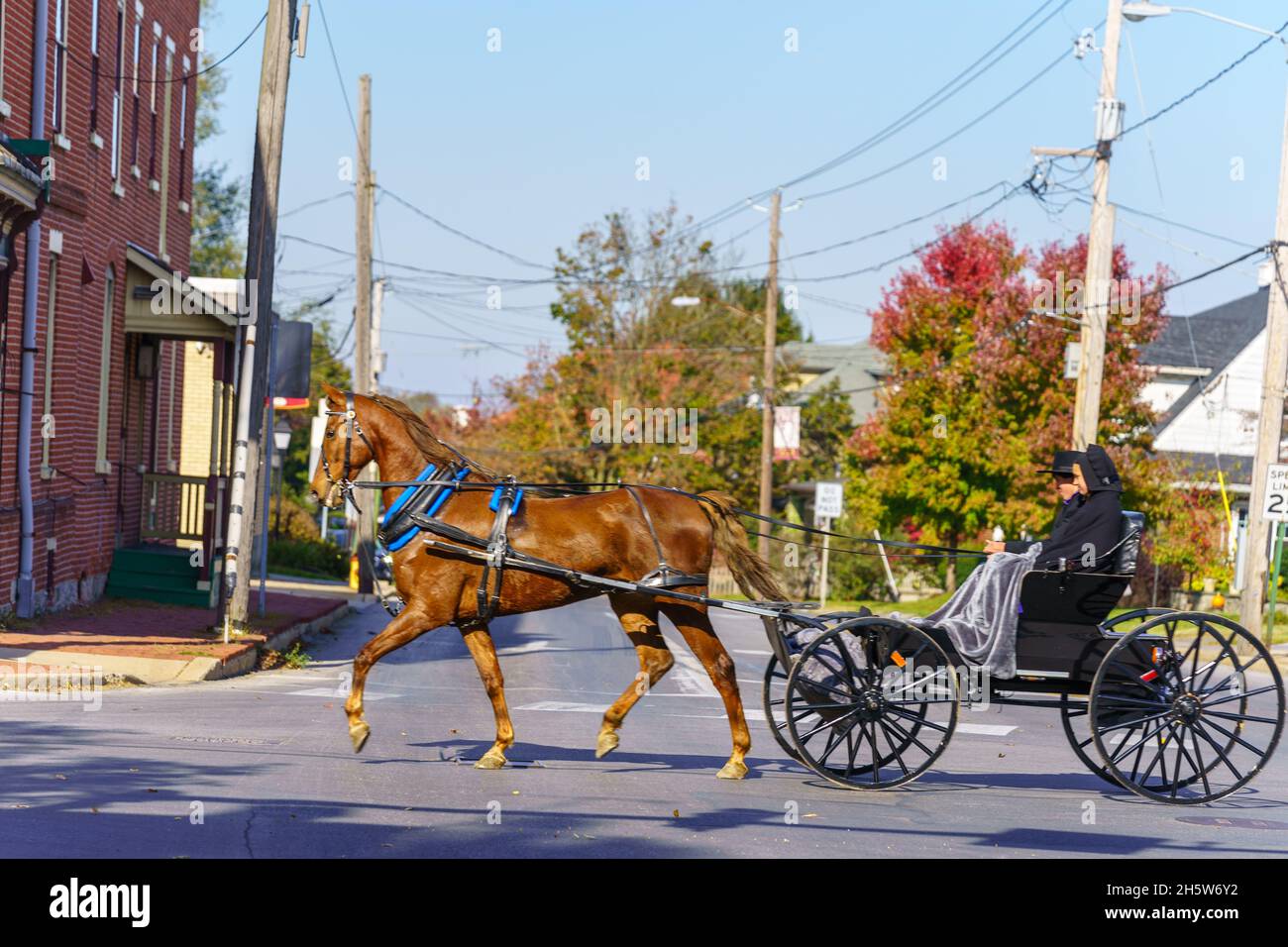 Strasburg, PA, USA - 7. November 2021: Ein von Pferden gezogener Amish-Buggy wird als Haupttransportwagen in Lancaster County, PA, verwendet. Stockfoto