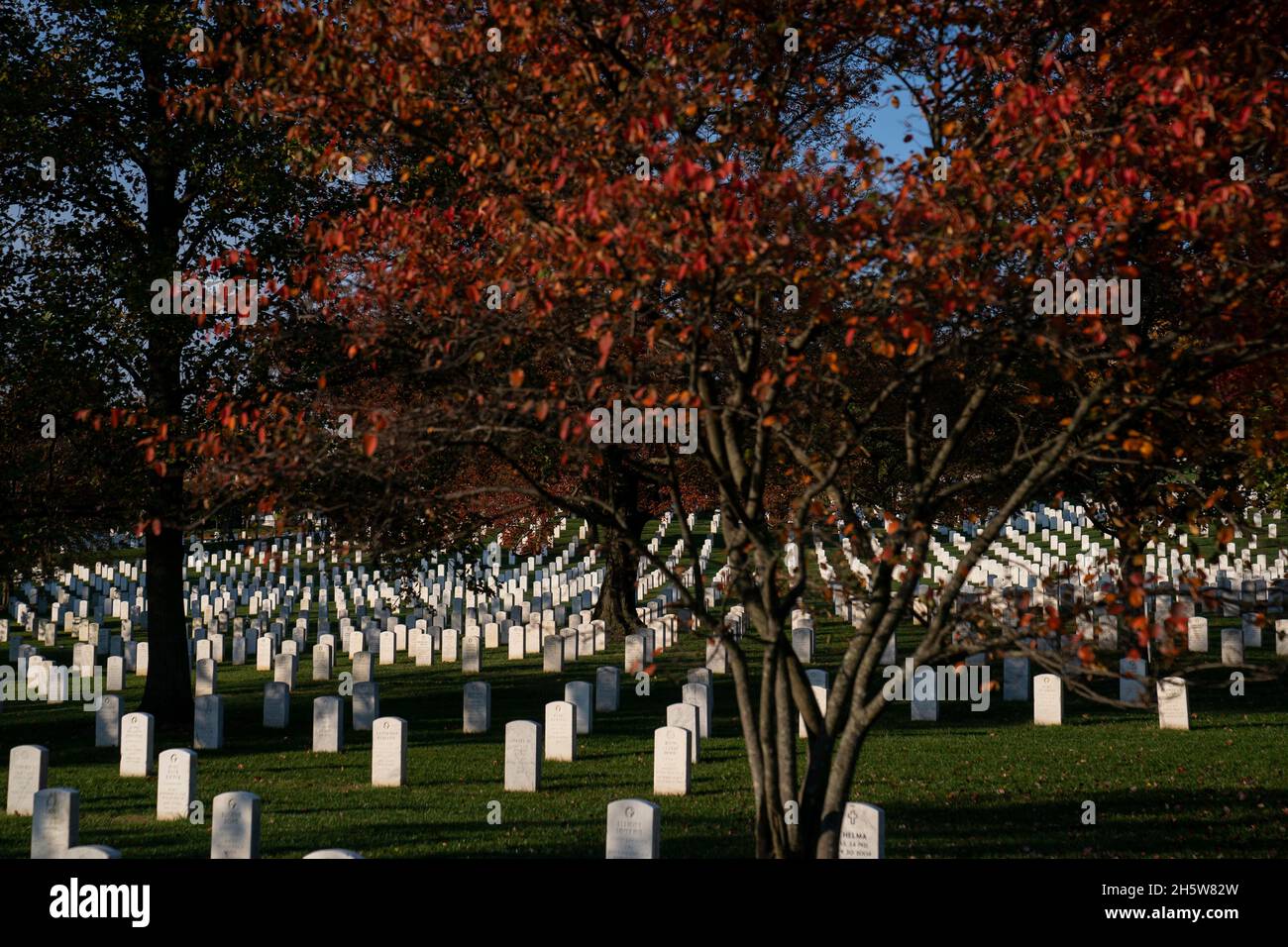 Arlington, Virginia, USA. November 2021. Der Friedhof von Arlington wird vor einer Prozession zu Ehren des hundertjährigen Bestehens des Grabes des unbekannten Soldaten in Arlington, Virginia, USA, am Donnerstag, den 11. November, 2021. Das Grab des unbekannten Soldaten, das als Herz des Nationalfriedhofs von Arlington diente, hat eine letzte Ruhestätte für eines der nicht identifizierten Dienstmitglieder des Ersten Weltkriegs in Amerika bereitgestellt, und Unbekannte aus späteren Kriegen wurden 1958 und 1984 hinzugefügt. Quelle: Sarah Silbiger/Pool via CNP/dpa/Alamy Live News Stockfoto