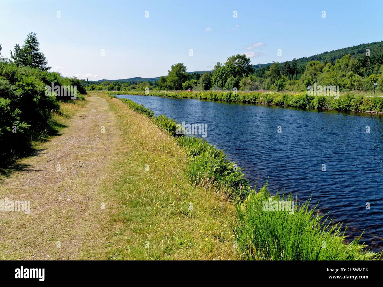 Entlang des Caledonian Canal in Richtung Loch Ness, Fort Augustus, Highland, Schottland, Vereinigtes Königreich, Europa. Juli 2021 Stockfoto