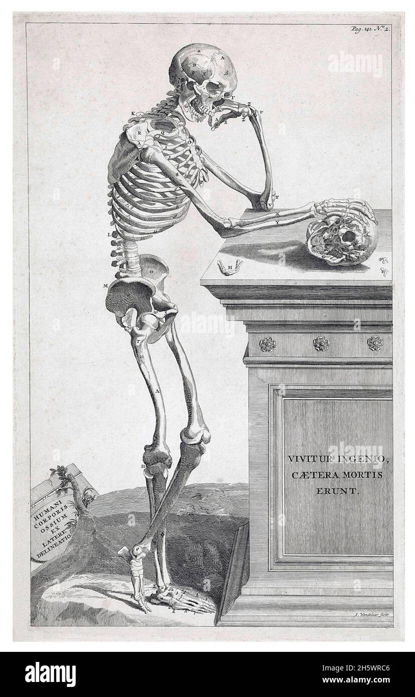 Historische, geätzte Illustration, die ein menschliches Skelett darstellt, das seinen linken Ellbogen auf einem Sockel mit einer lateinischen Inschrift aufstellt. Seine rechte Hand ruht auf einem Schädel. Unten links eine Tafel mit einer lateinischen Inschrift. Von Jan Wandelaar, 1725. „Vivitur ingenio, caetera mortis erunt“ - (die Intelligenz lebt weiter, der Rest ist sterblich). ''Humani corporis ossium ex latere delineatio' (eine Skizze der Knochen des menschlichen Körpers) Eine digital optimierte/erweiterte Version eines historischen Bildes Stockfoto