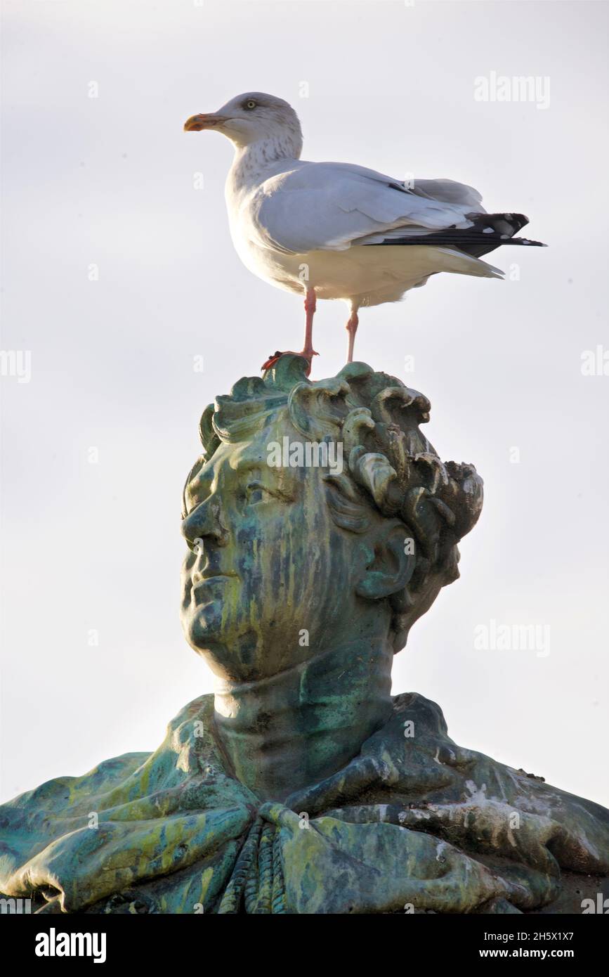 Statue des englischen Monarchen König George IV., ehemals Price Regent, mit einer Möwe auf dem Kopf. Die Bronzestatue von Sir Francis Chantry wurde 1828 enthüllt. English Heritage Legacy ID: 480510 Stockfoto