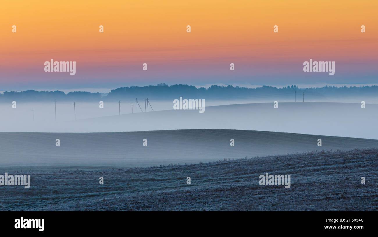 Blaue Nebelwellen vor Sonnenaufgang zwischen Wiesen, kalter früher Wintermorgen Stockfoto