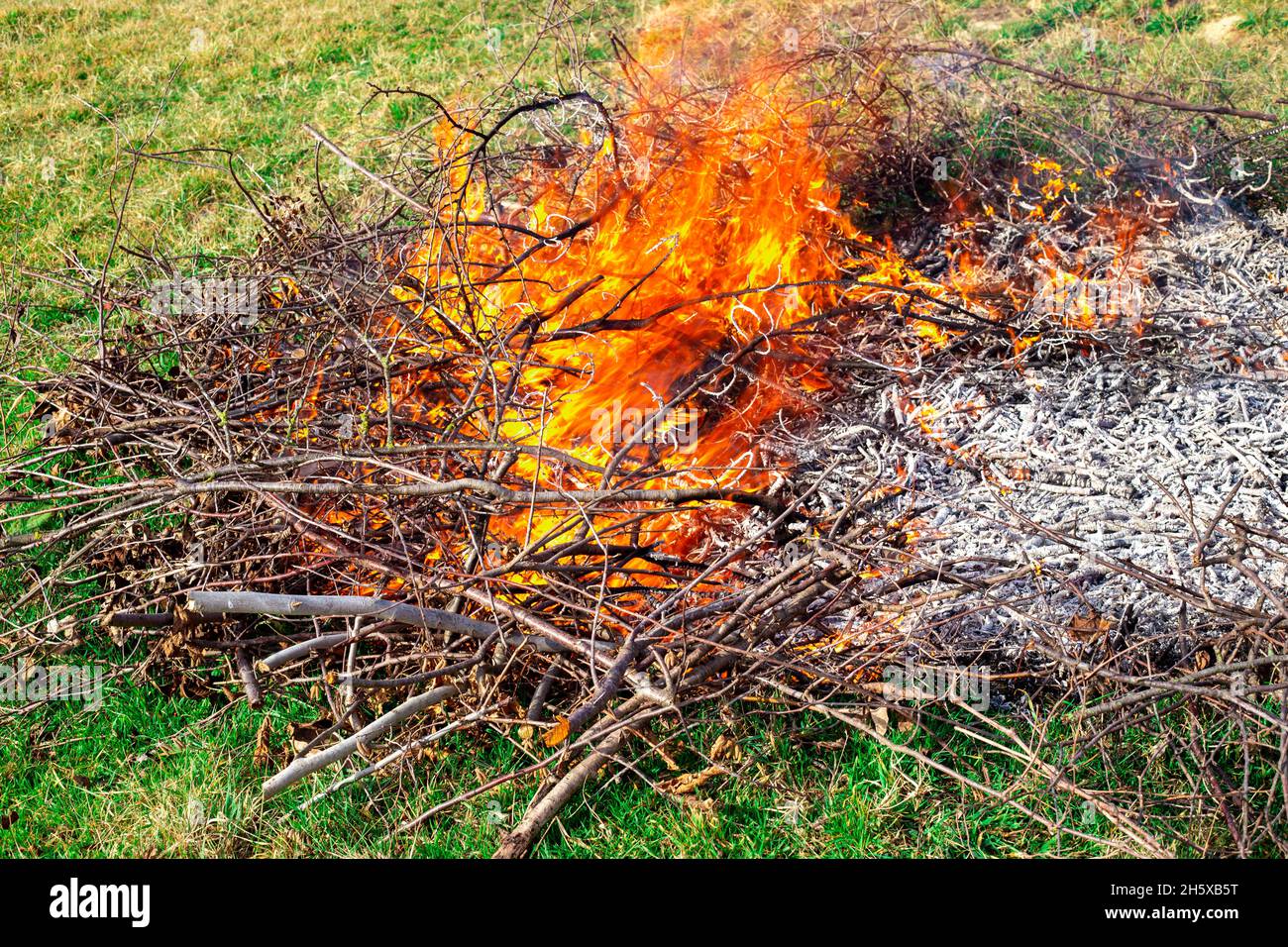 Müllverbrennung in Sommerhütten. Trockene Äste von Bäumen brennen mit einer hellen Flamme. Brandgefahr. Stockfoto