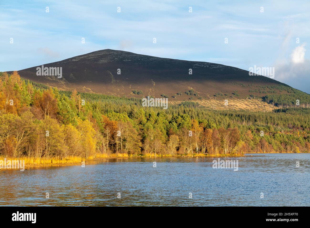 AVIEMORE, HIGHLANDS, SCHOTTLAND - 11. NOVEMBER 2021: Diese goldene Sonne scheint am 11. November 2021 auf Loch Morlich, Aviemore, Highlands, Schottland. Stockfoto