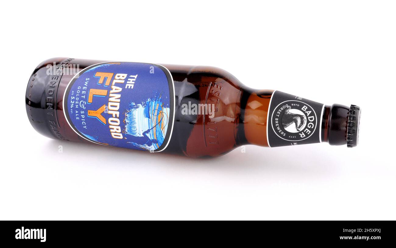 Flasche Blandford Fly süßes und würziges goldenes Ale, gebraut von der Dorset Badger Brauerei Stockfoto