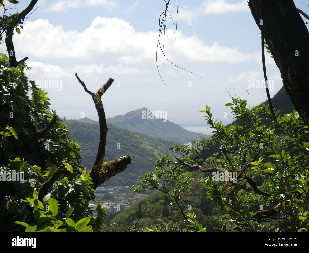 Der Moanalua Valley Trail wird durch die wachsende Vegetation in Honolulu, Hawaii, eingefangen Stockfoto
