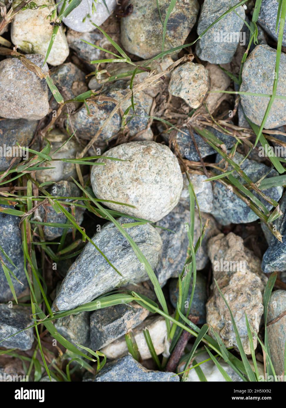 Runde Steine auf dem Boden im Garten Stockfoto