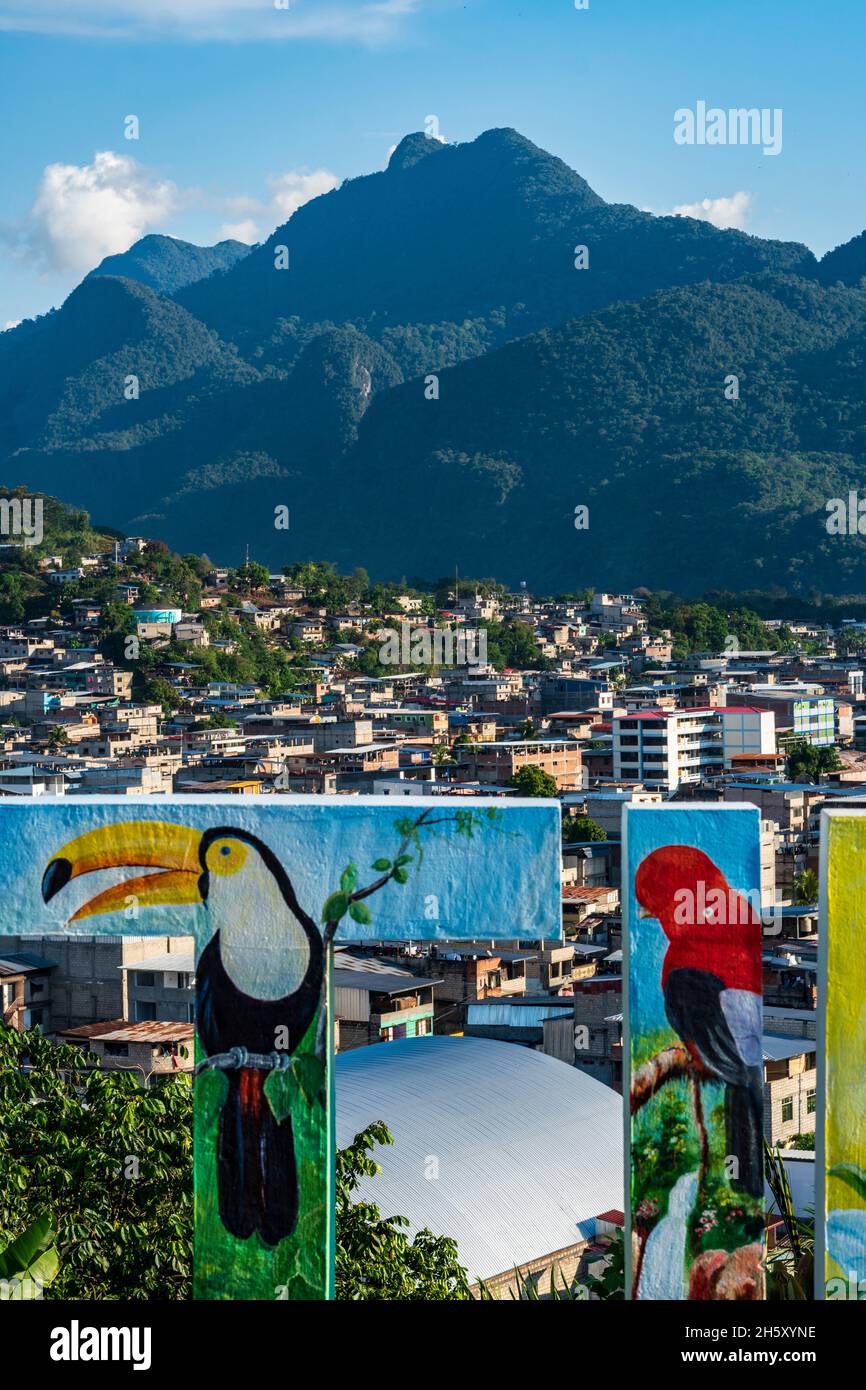 Tingo Maria, Huanuco, Peru, Südamerika, Amazonas. Stockfoto