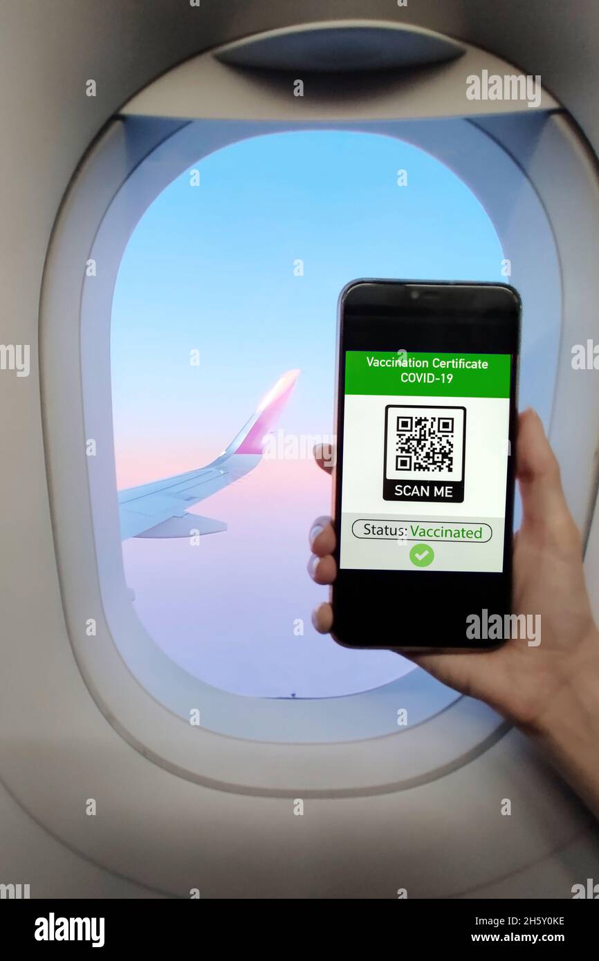 Weibliche Hand mit Smartphone und internationalem Impfzertifikat COVID-19 QR-Code. Elektronischer Impfpass. Innenraum und Fenster V Stockfoto