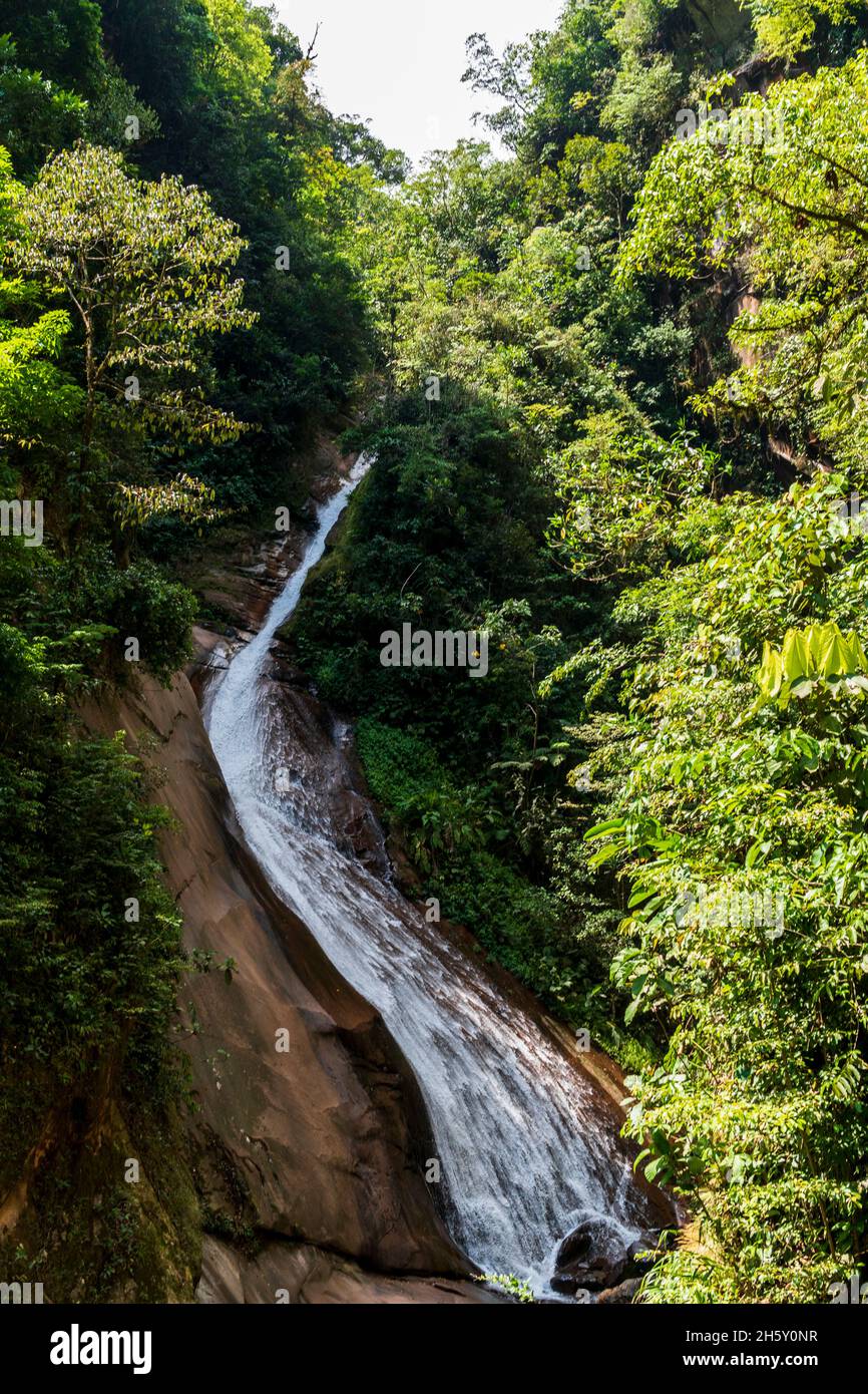 Boquerón del Padre Abad, Aguaytia, Ucayali, Perú, Südamerika. Stockfoto