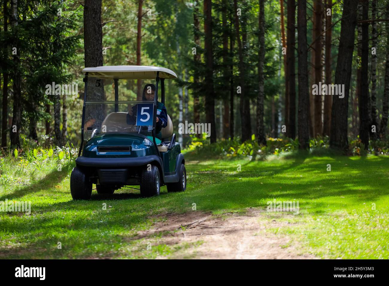 Elektrisches Golfauto auf dem grünen Feld mit Passagieren. Hochwertige Fotos Stockfoto