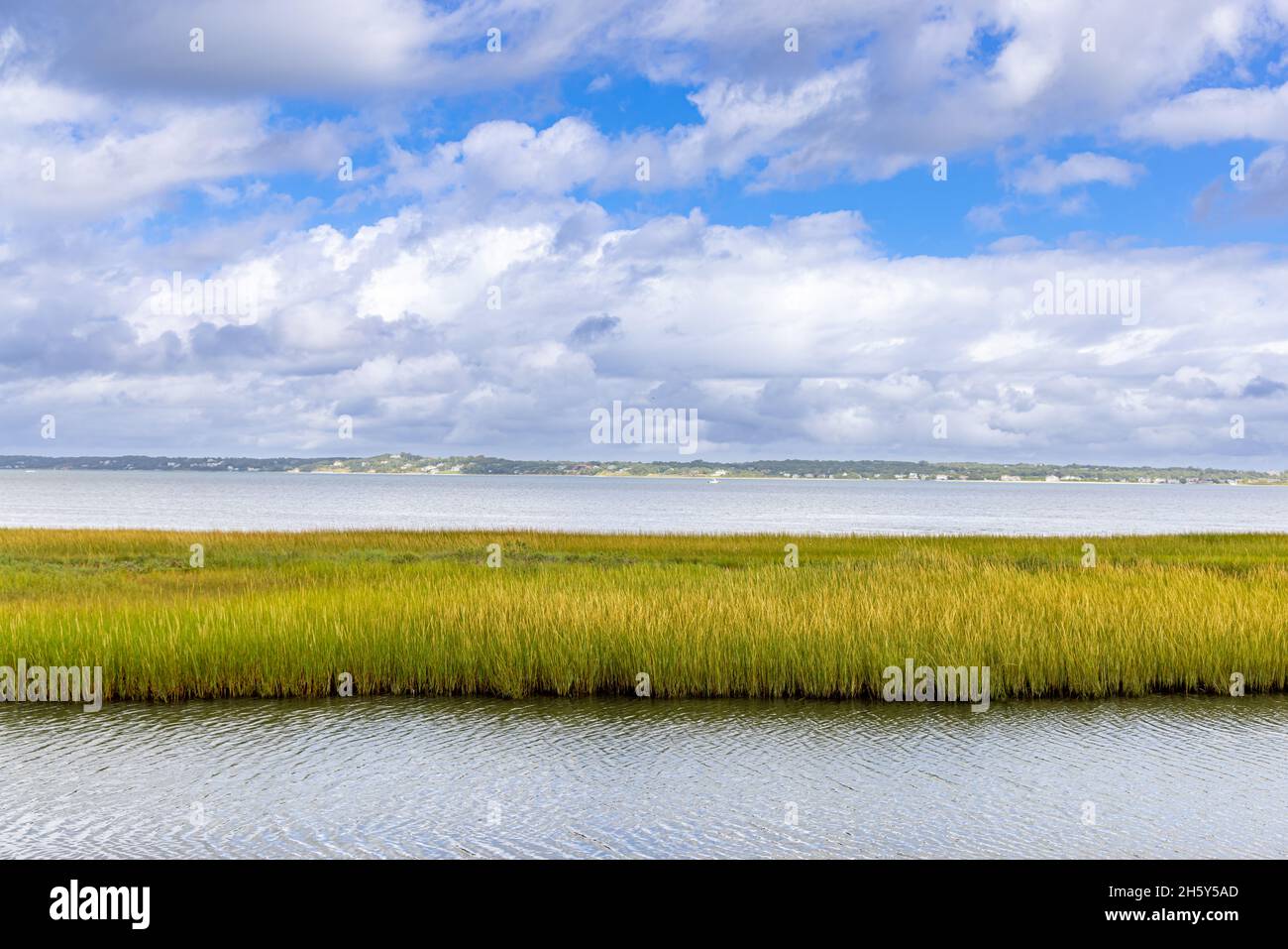 Landschaft vom Meadow Lane Boardwalk, Southampton, NY Stockfoto
