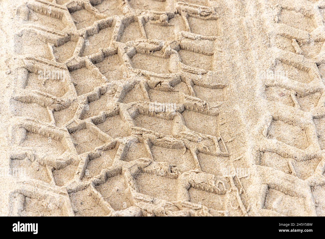 Reifen treten in frischem Sand an einem Meeresstrand auf Stockfoto