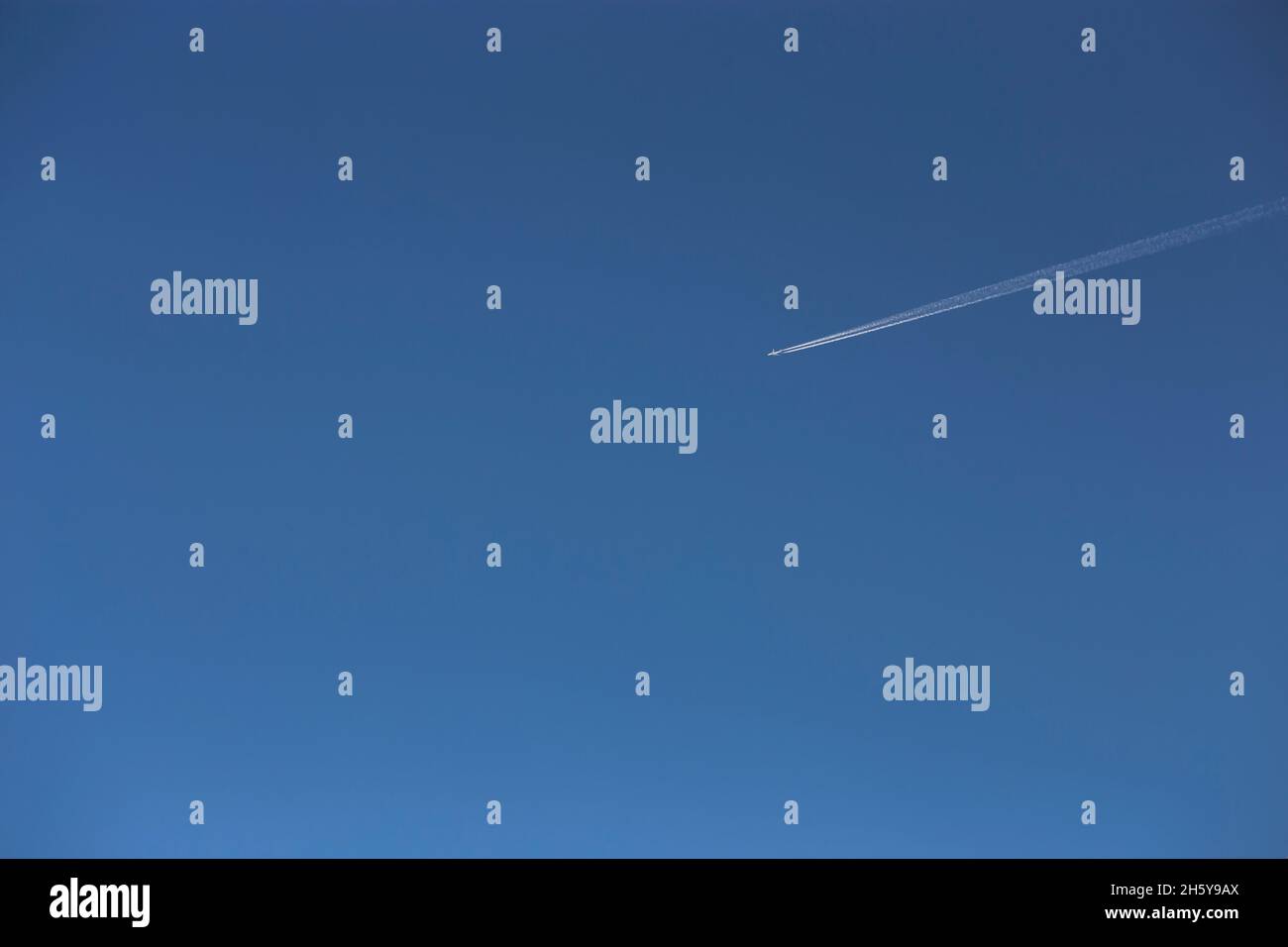 Weißer Contrainil aus einem Flugzeug in einem klaren blauen Himmel. Speicherplatz kopieren. Flug bei gutem Wetter Stockfoto