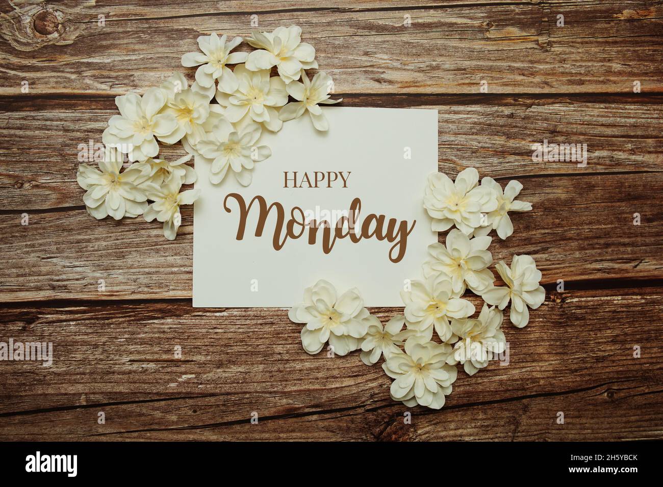 Happy Monday Karte Typografie Text mit Blumenstrauß auf rosa Hintergrund Stockfoto