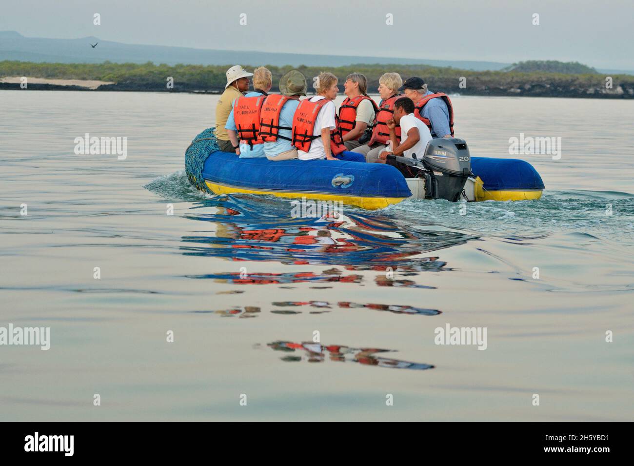 Touristen erkunden die Black Turtle Cove in einem Panga, den Galapagos Islands National Park, die Insel Santa Cruz, die Black Turtle Cove, Ecuador Stockfoto