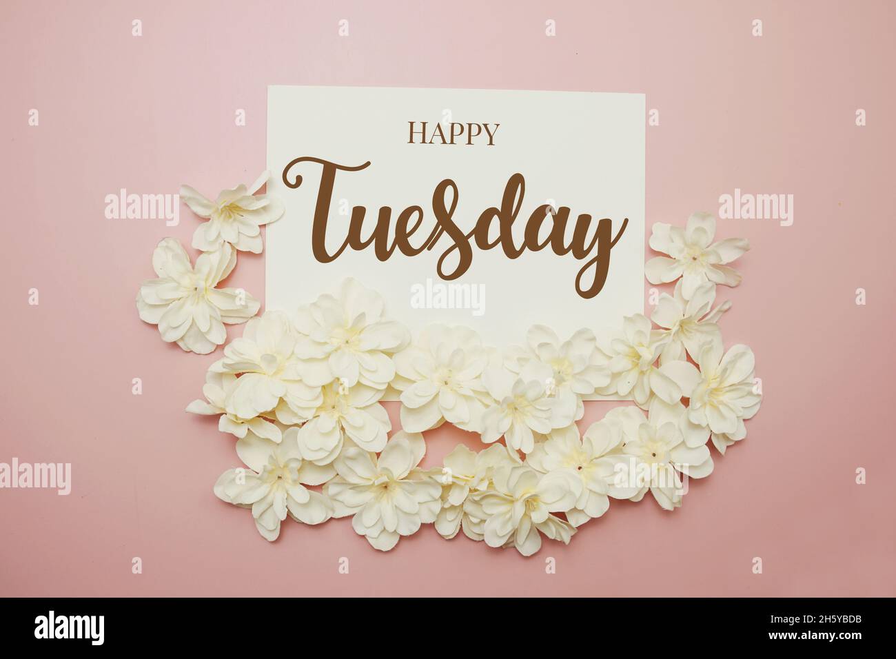 Happy Tuesday Karte Typografie Text mit Blumenstrauß auf rosa Hintergrund Stockfoto