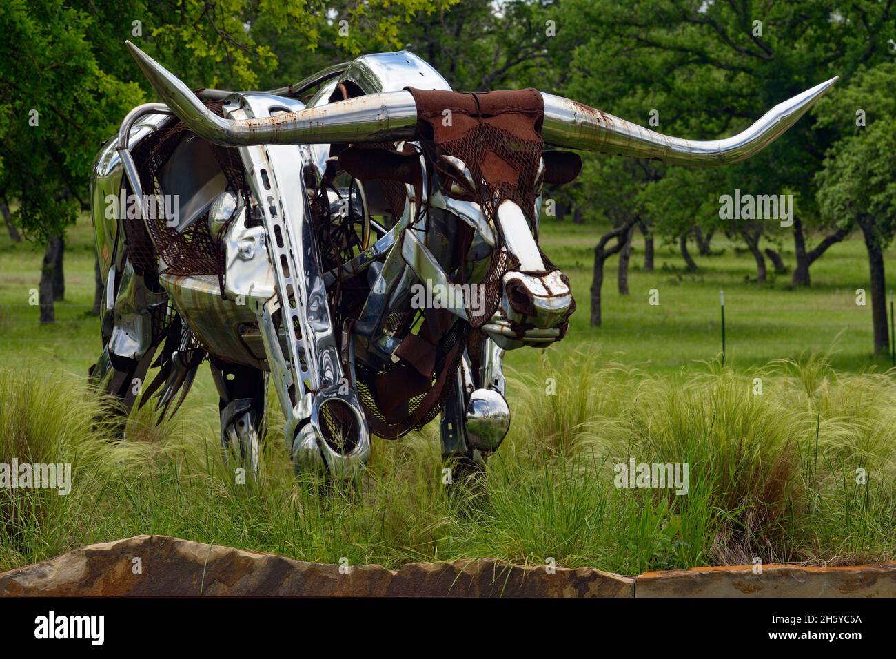 Metallskulptur eines Texas Long-Horns, Johnson City, Texas, USA Stockfoto