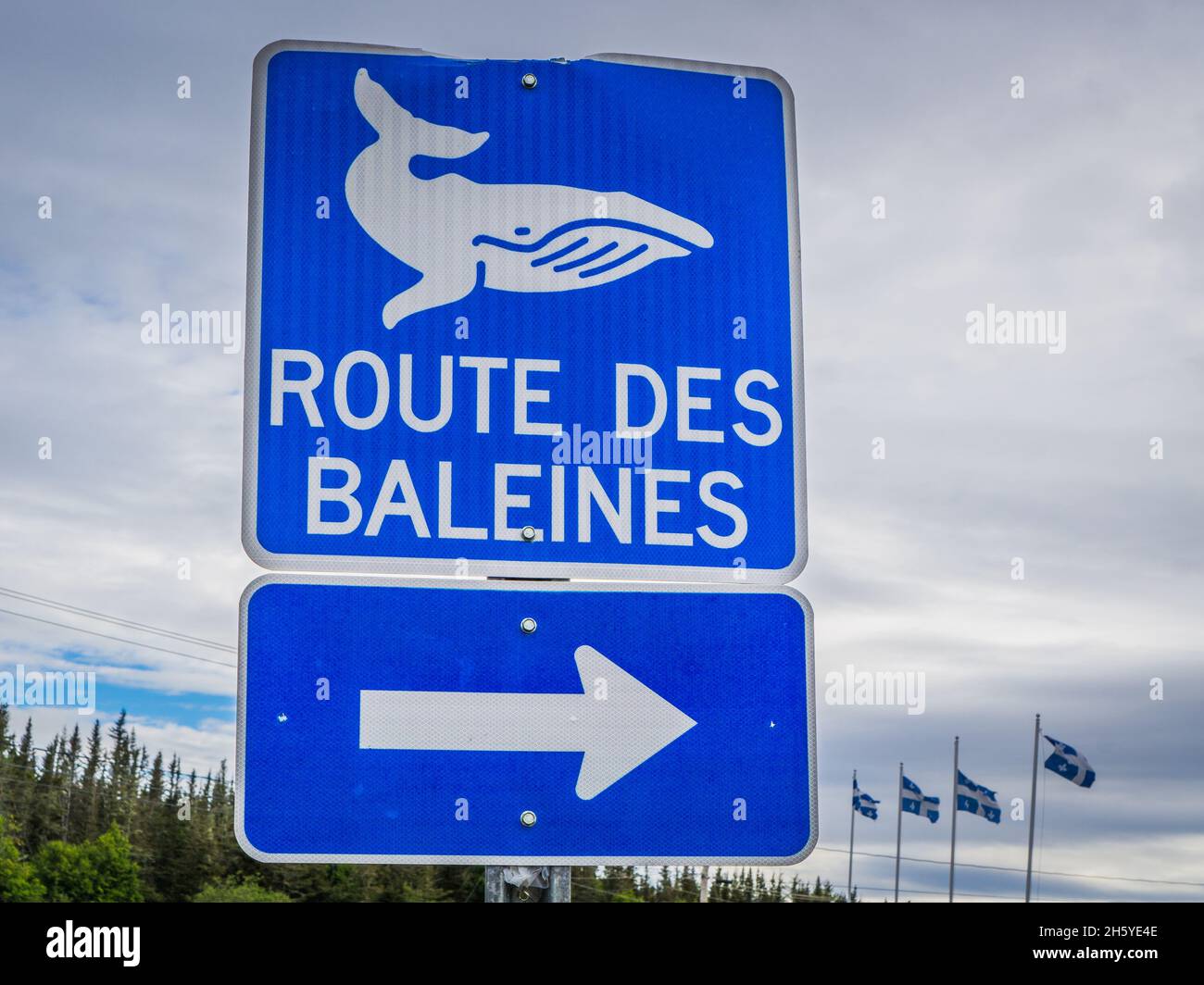 Touristisches Schild, das die landschaftlich reizvolle Straße 138 anzeigt, auch bekannt als Route des Baleines ('Whales Road'), in Longue Pointe, einer kleinen Stadt der Region Cote Nord Stockfoto