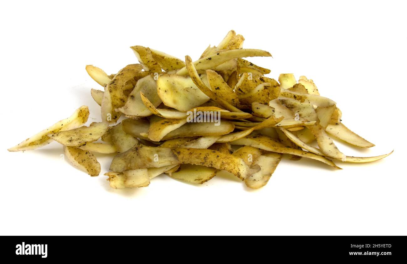 Kartoffelschale nach der Reinigung. Organischer Abfall auf weißem Hintergrund isoliert. Stockfoto
