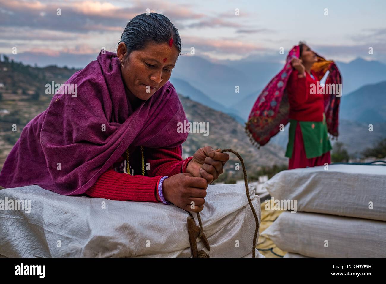 Oktober 2017. Herstellung von Lokta Rindenpapier bei Malika Handmade Paper Pvt. Ltd. (MHPL) in der abgelegenen Bergstadt Kailas, Bezirk Bajhang, Nepal. Dabei wird die Rinde von Lokta (Daphne spp) gesammelt, in einem ätzenden Bad eingeweicht, in einem manuellen Quirl aufgeschält, das Fruchtfleisch auf Siebe gegossen und in der Sonne getrocknet. Das Papier wird dann in 50kg-Bündeln auf einer vierstündigen Wanderung etwa 2000 Meter den Berg hinunter nach Chainpur transportiert, wo es für die 1000km 25-stündige Fahrt nach Kathmandu in Busse verladen wird. Kailas, Bajhang District, Nepal. Stockfoto