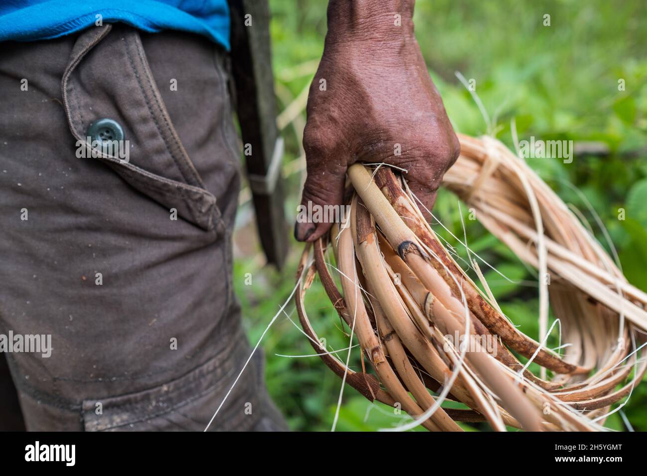 Juli 2017. Tilso Botig sammelt und spaltet ratan. Aborlan, Barangay Sagpangan, Palawan, Philippinen. Stockfoto