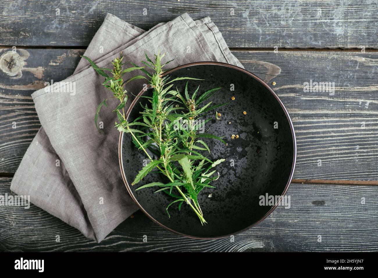 Cannabiszweig und Blätter auf einem schwarzen Teller und Holzhintergrund. Laborproduktion von Kosmetika mit CBD-Öl. Draufsicht Stockfoto