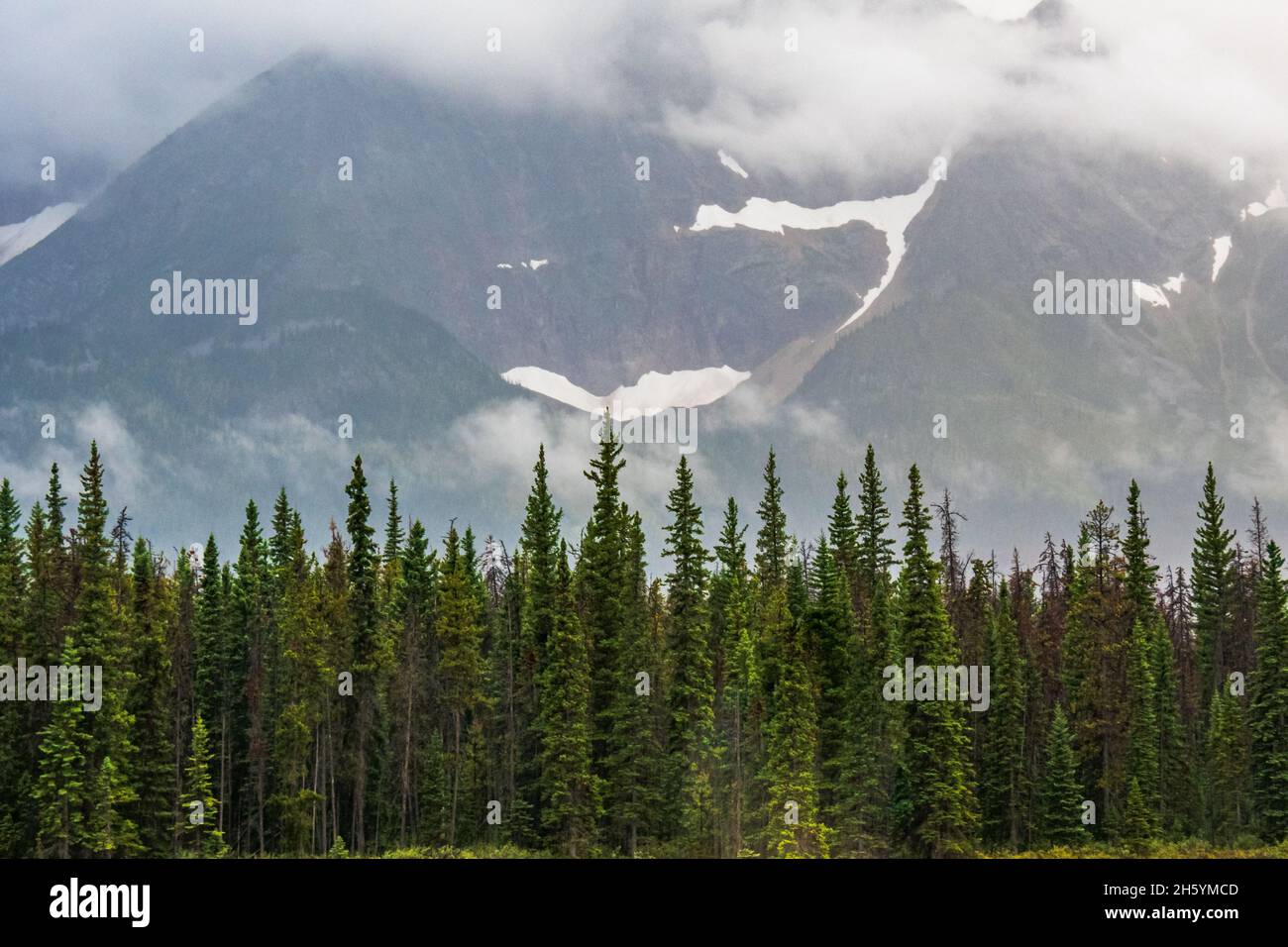 Columbia Ice Fields parkway Berglandschaft in Alberta Kanada im Sommer Stockfoto