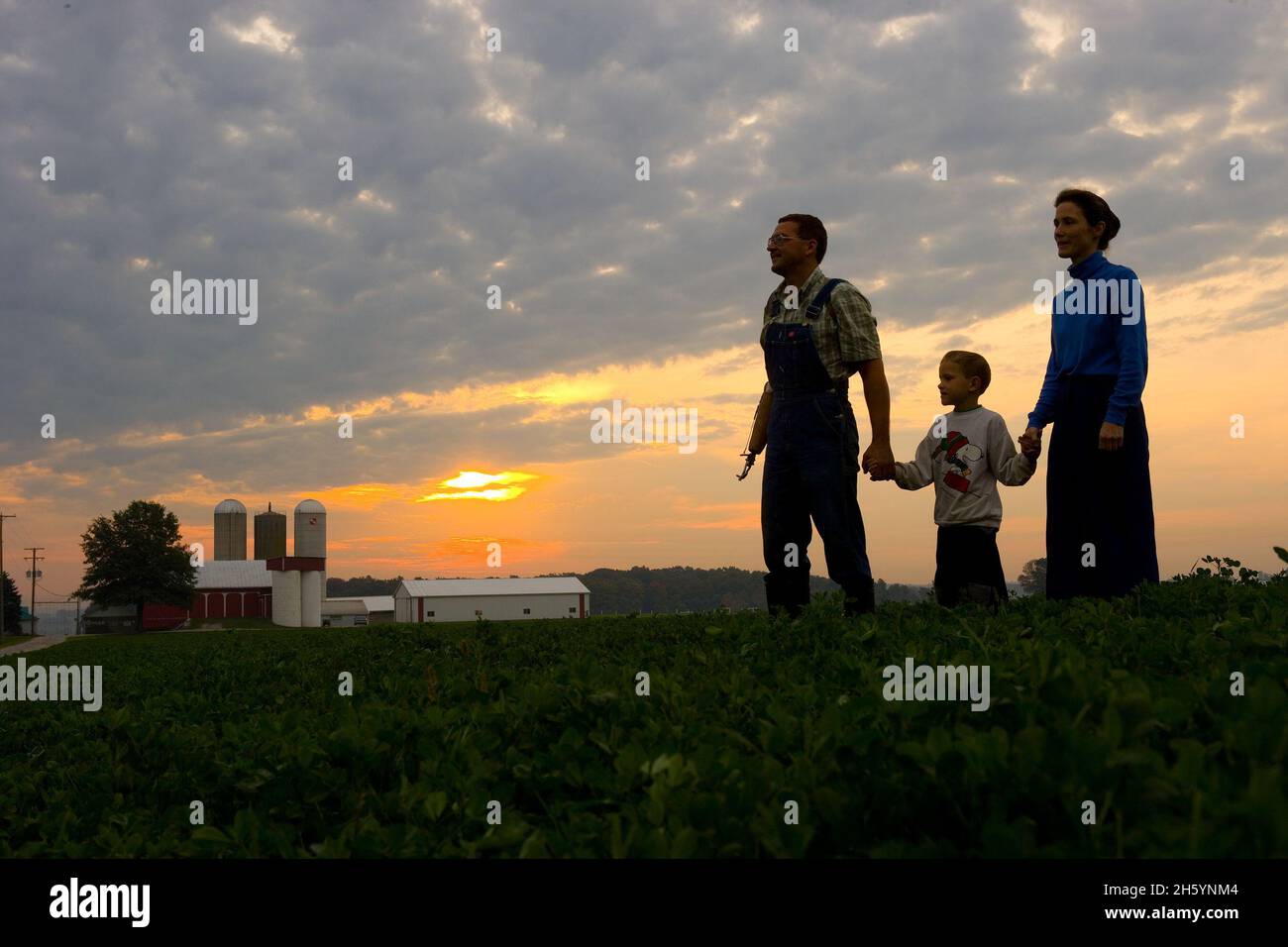 Morgenaufgang über Sojabohnenfeld auf Nordost-Ohio-Farm. Ca. 2006 Stockfoto