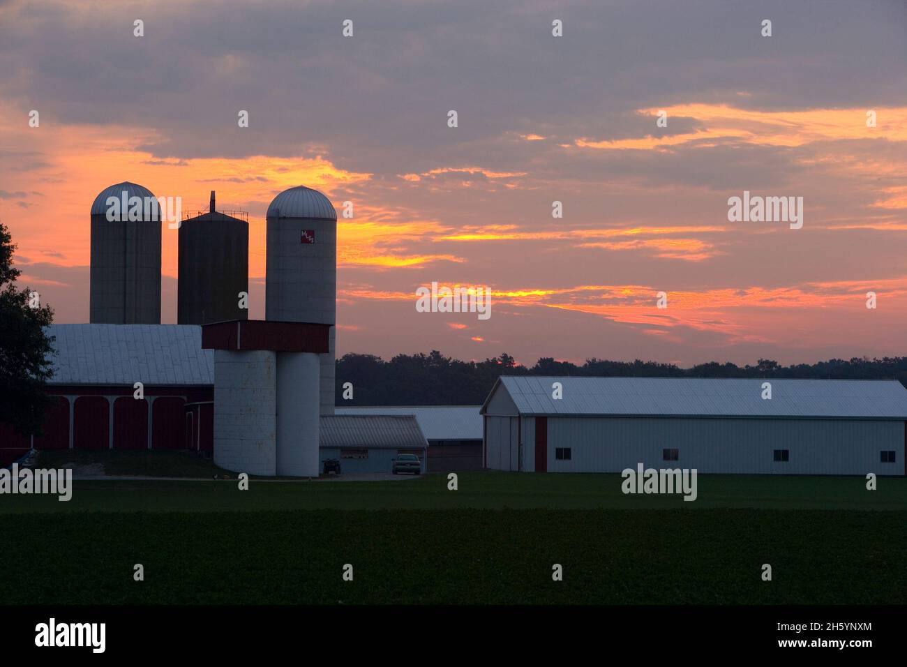 Morgensonnenaufgang über der nordöstlichen Ohio Farm. Sojabohnenernte im Untergrund. Ca. 2006 Stockfoto