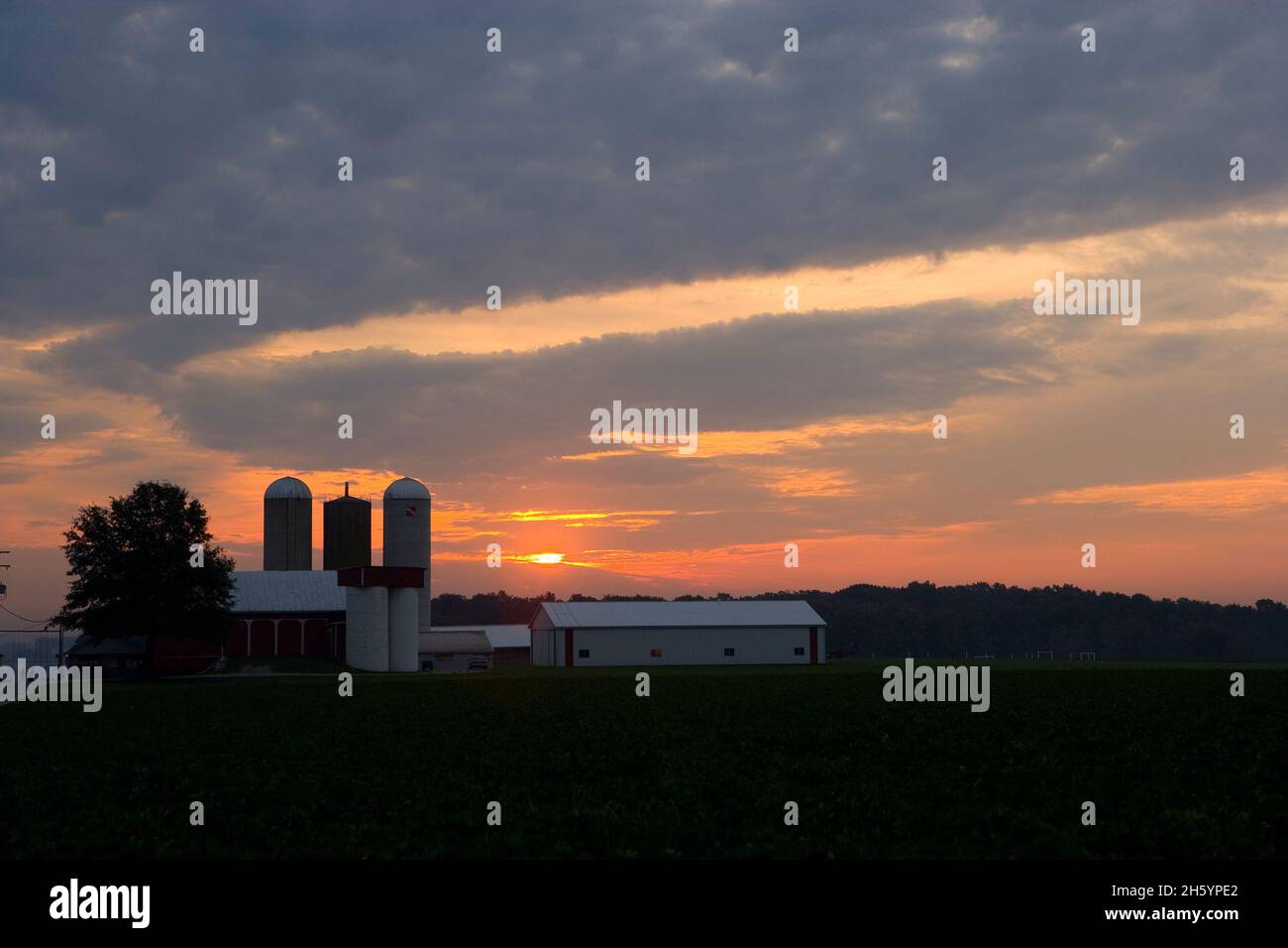 Morgensonnenaufgang über der nordöstlichen Ohio Farm. Sojabohnenernte im Untergrund. Ca. 2006 Stockfoto