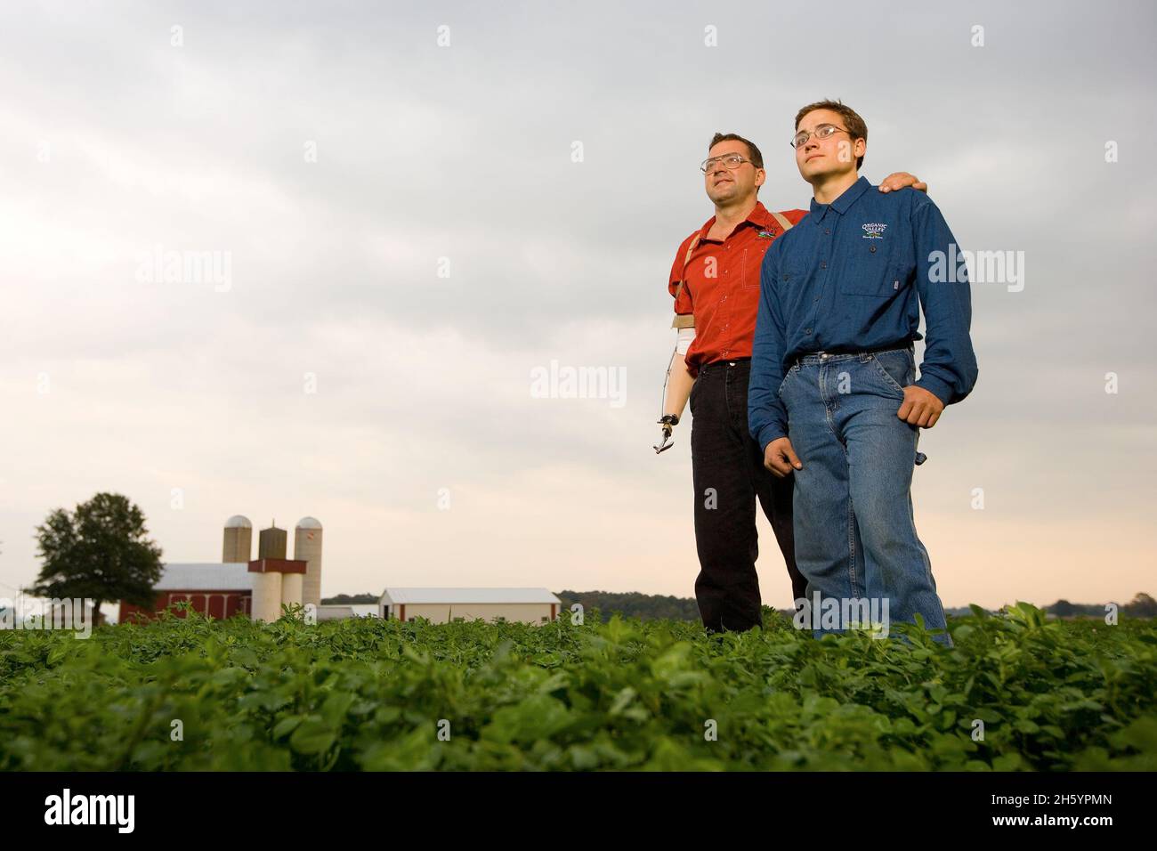 Landwirtschaft ist Familientradition auf einem Bio-Milchviehbetrieb im Nordosten von Ohio. Ca. 2006 Stockfoto